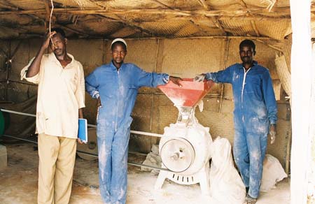 wheat flour mill africa 